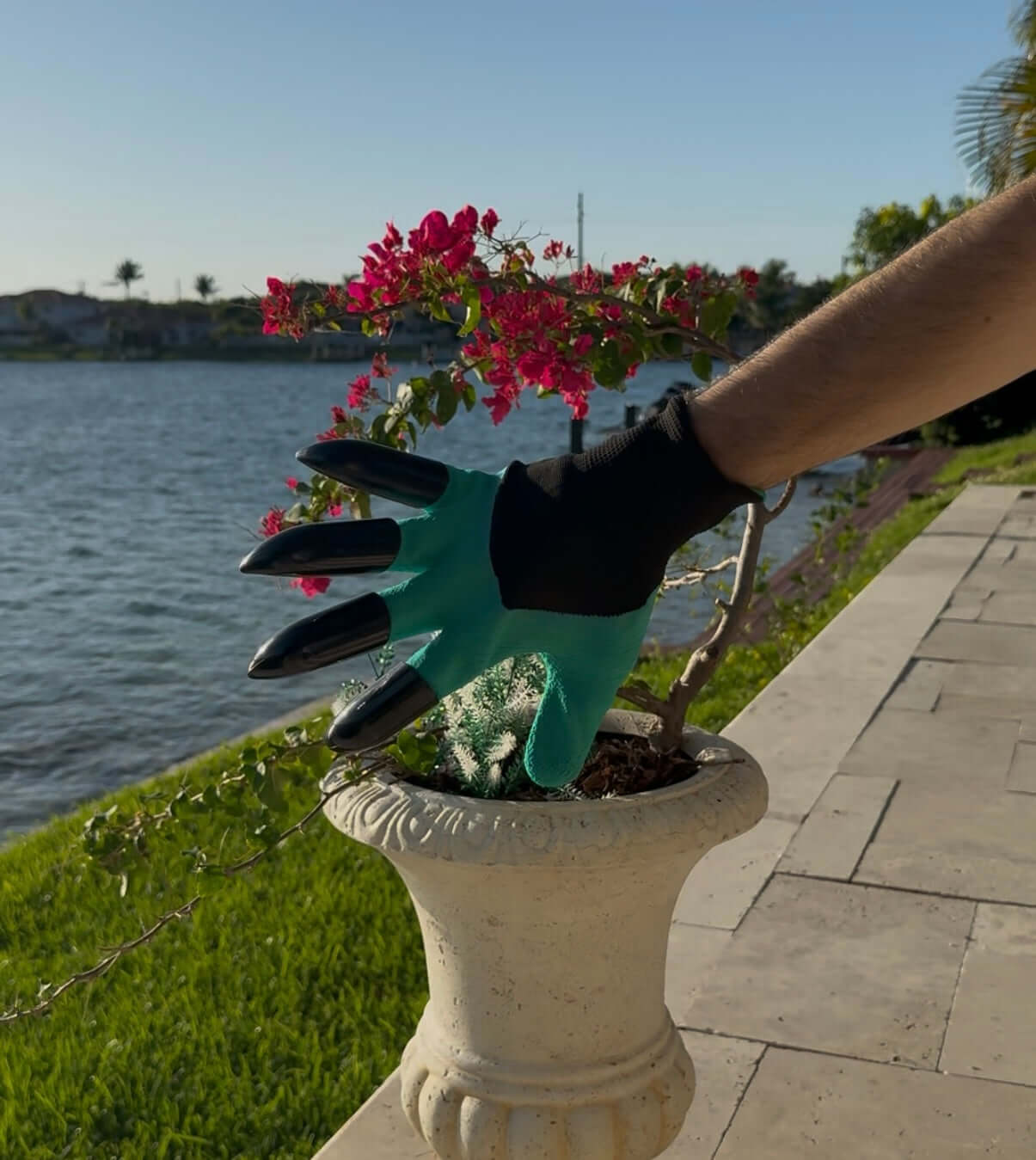 Gardening gloves with claws, perfect for planting and digging, worn while tending to flowers near a lake.