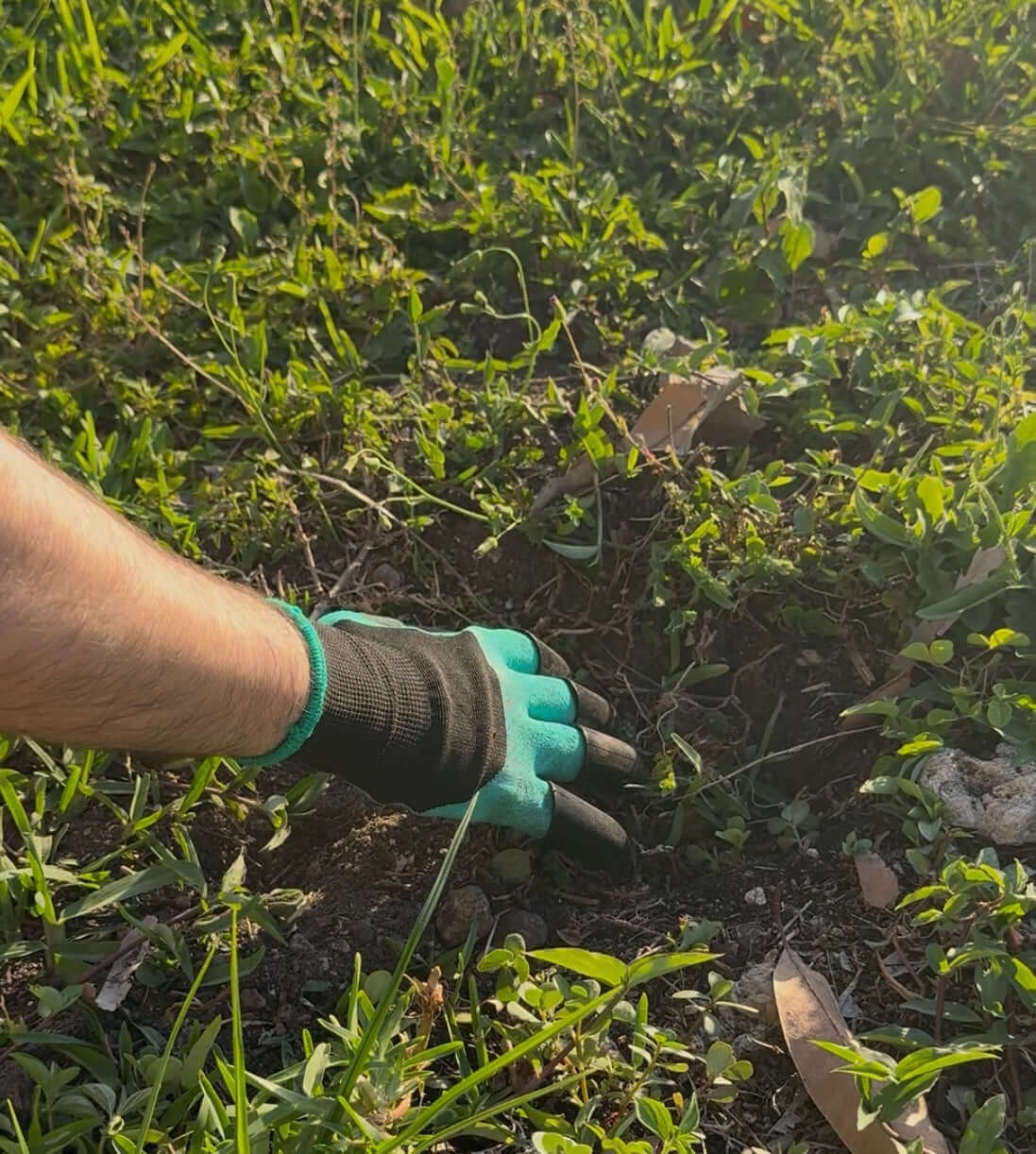 Gardening gloves with claws digging into soil for easy planting and digging in a lush green garden.