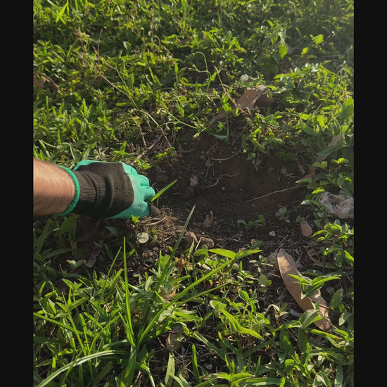 Gardening gloves with claws in use, digging into soil surrounded by green grass.